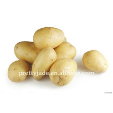 Поставка свежего желтого картофеля из Китая